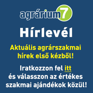 hírlevél
